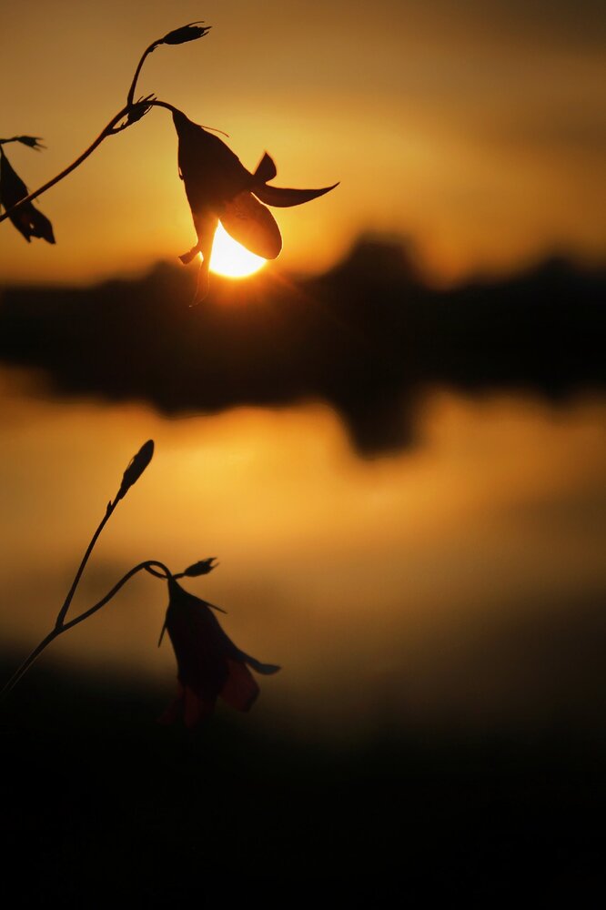 Photograph by Анна Захарчук