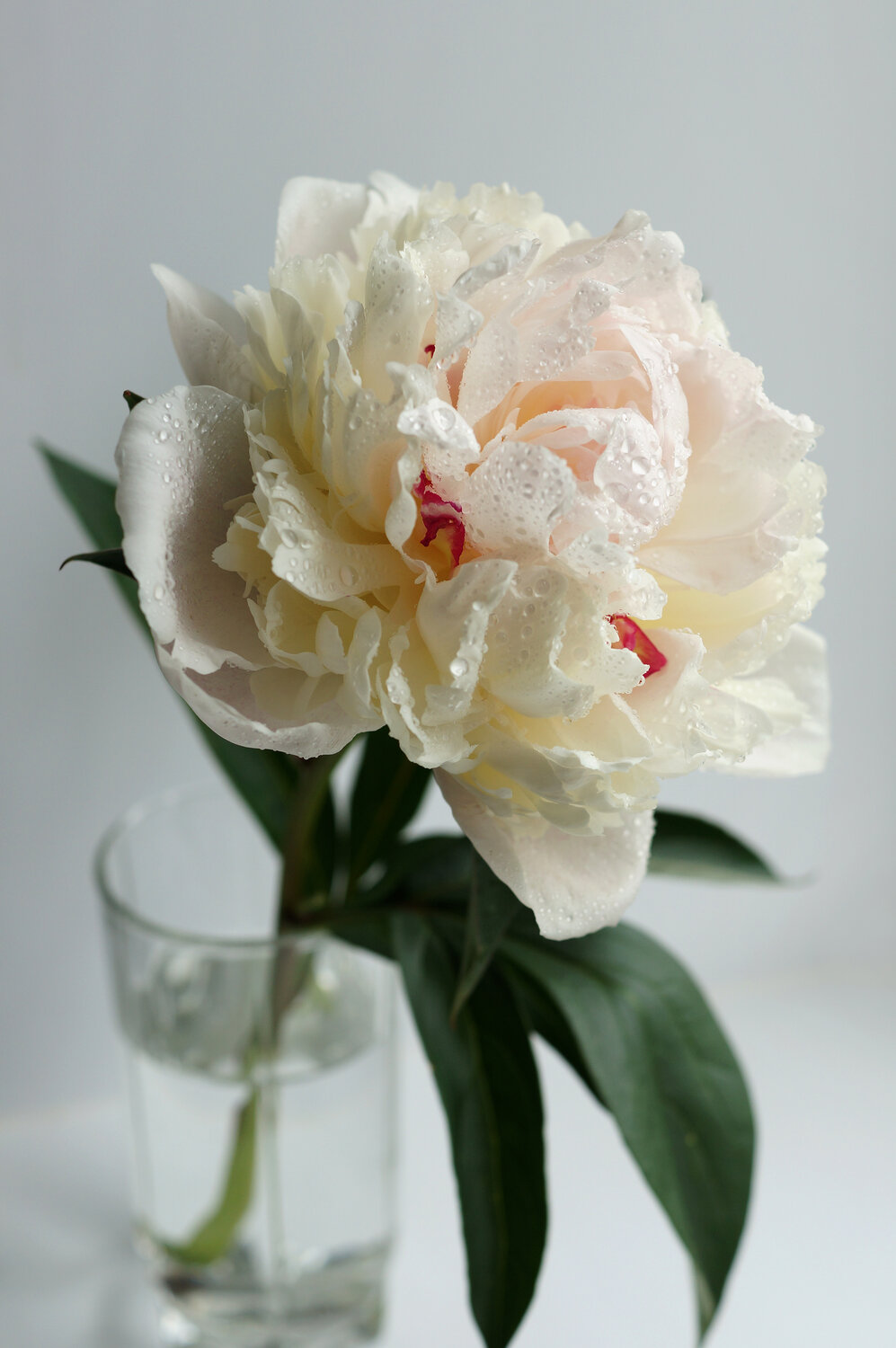 Photo #13856037