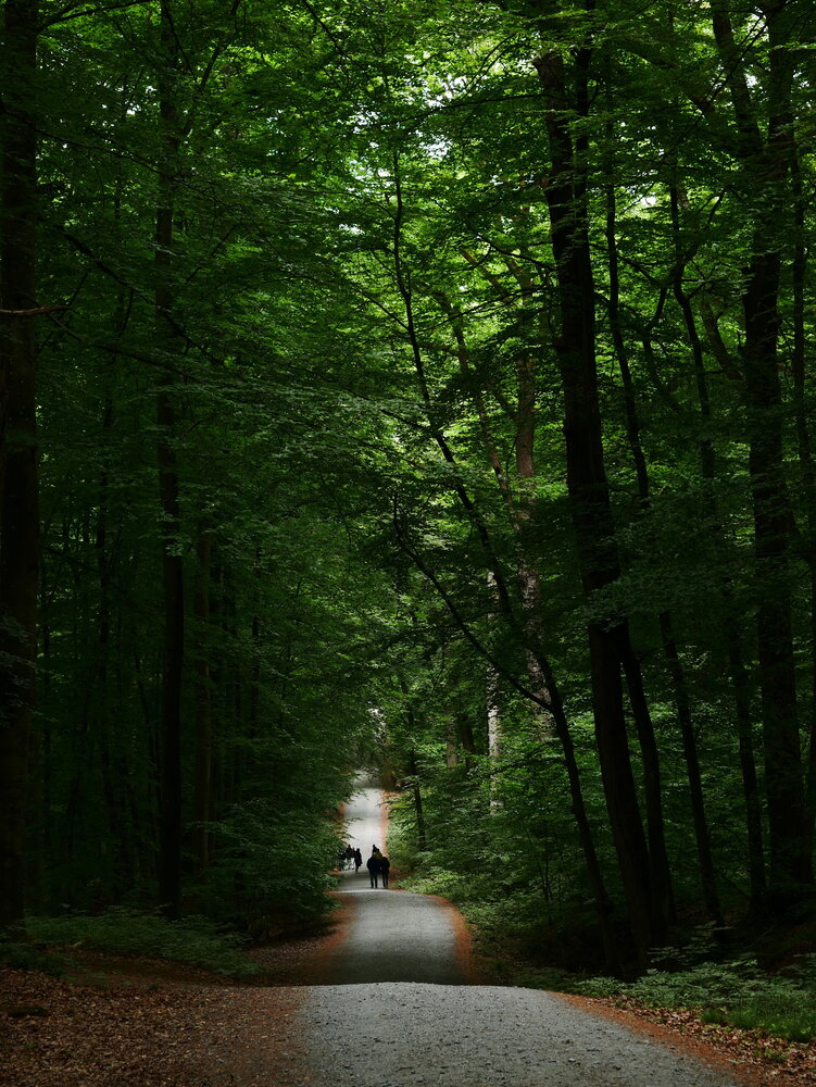 Photograph by Владимир Лобанов