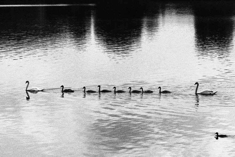 Photograph by Евгения Нестеренко