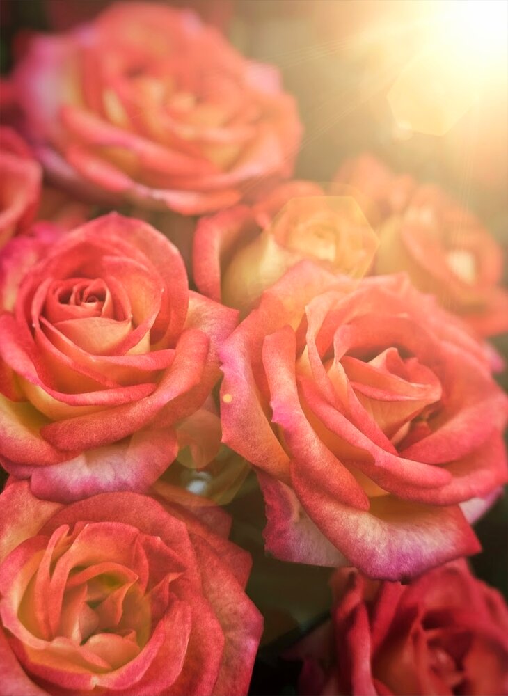 Photograph by Светлана Кустова