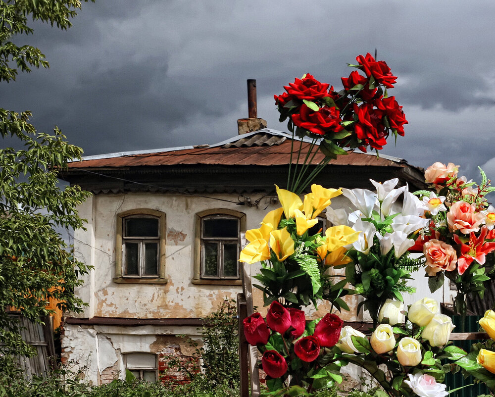 Фотография автора Елена Лаврова