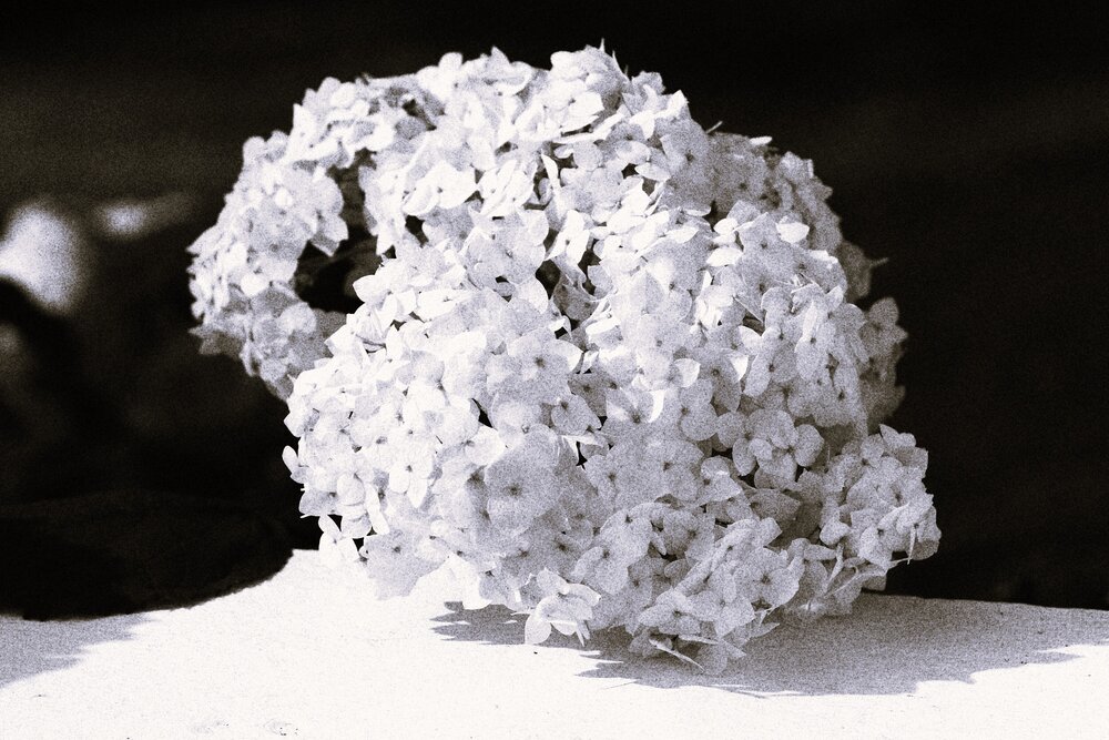 Photograph by Евгения Нестеренко