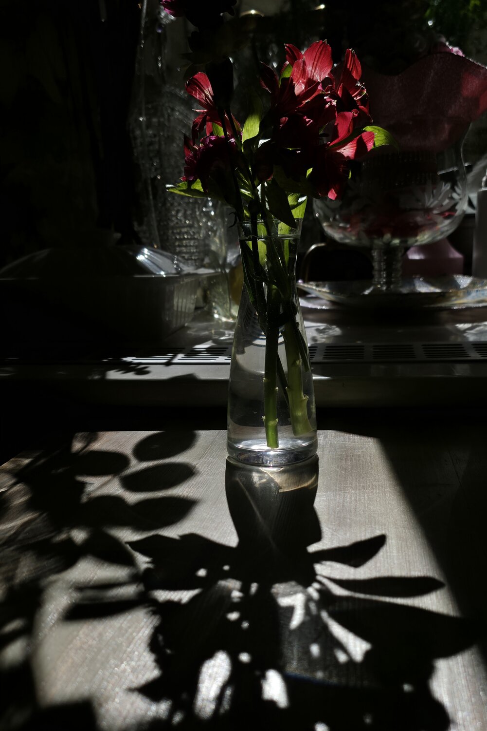 Photo #13856203