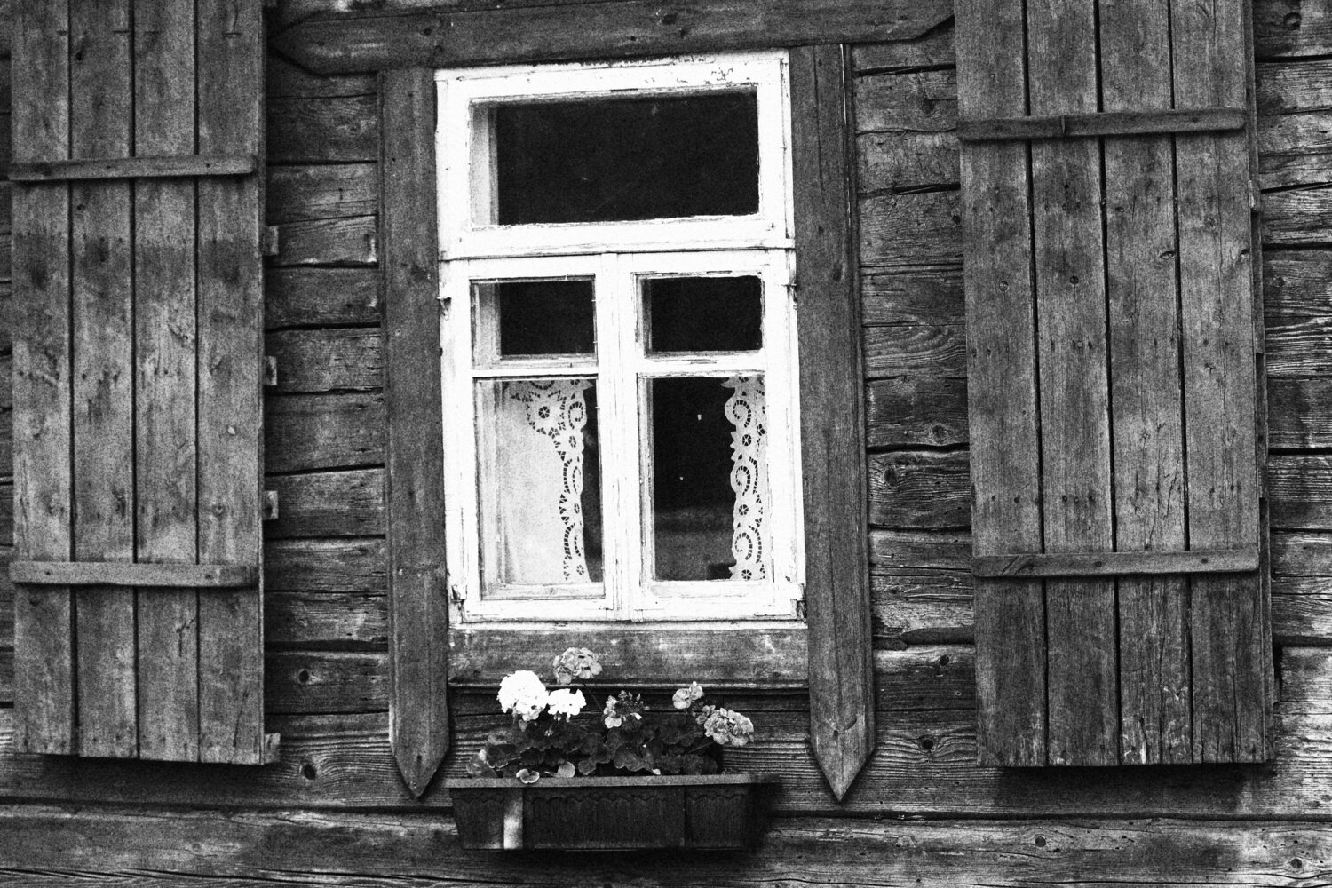 Фотография #13856241