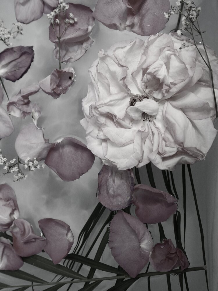 Photograph by Kolotova Irina