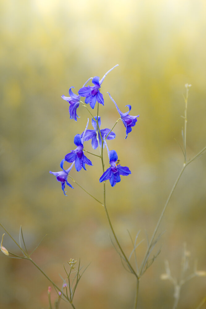 Photograph by Ekaterina Barashkova