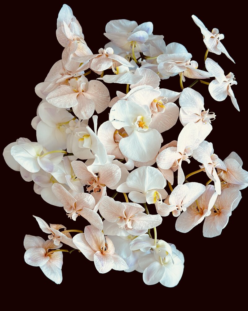 Photograph by Kolotova Irina