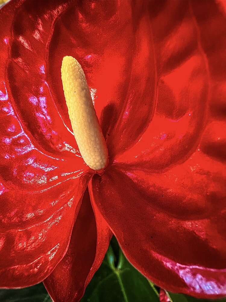 Photograph by Kolotova Irina