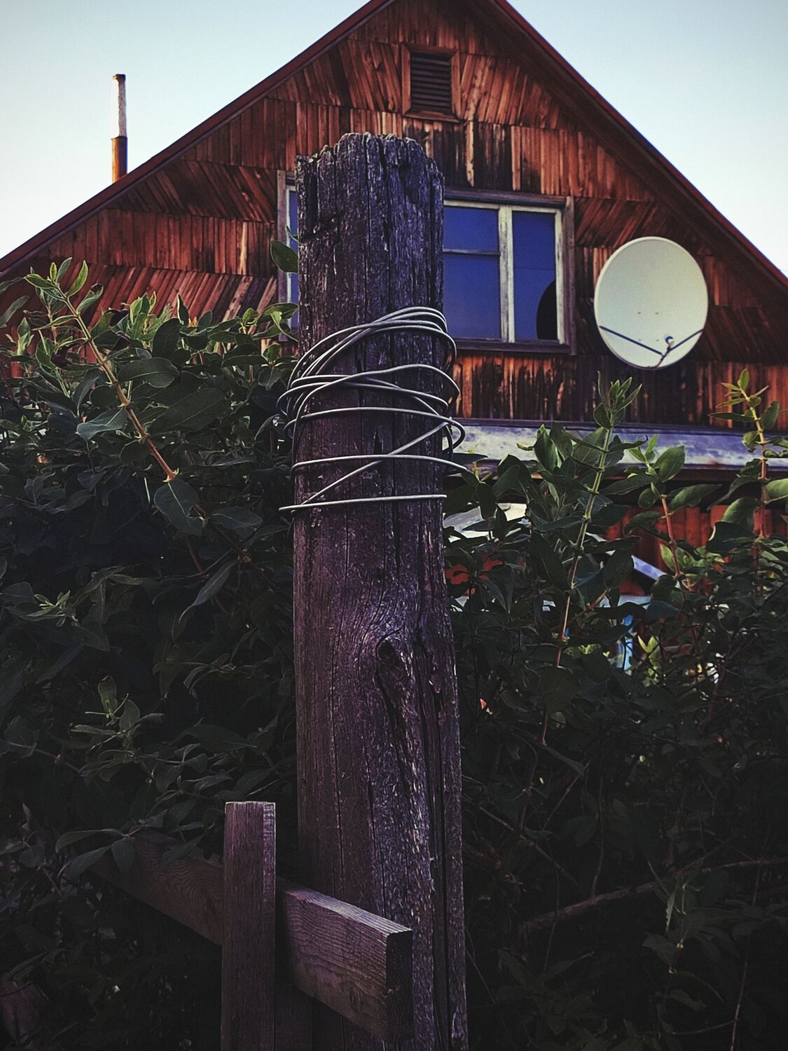 Photo #13856302