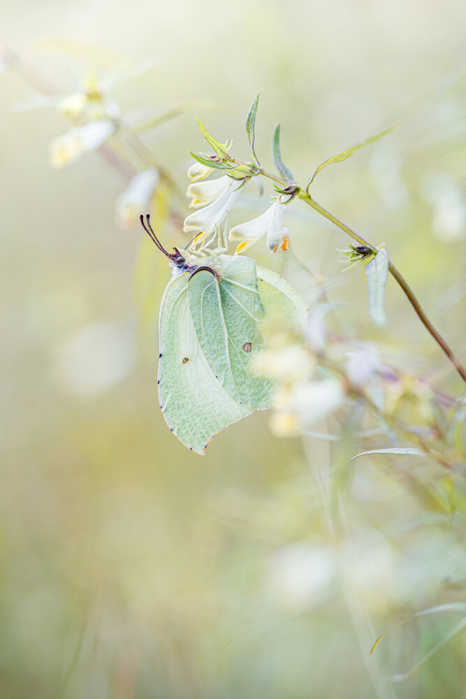 Photograph by Ekaterina Barashkova