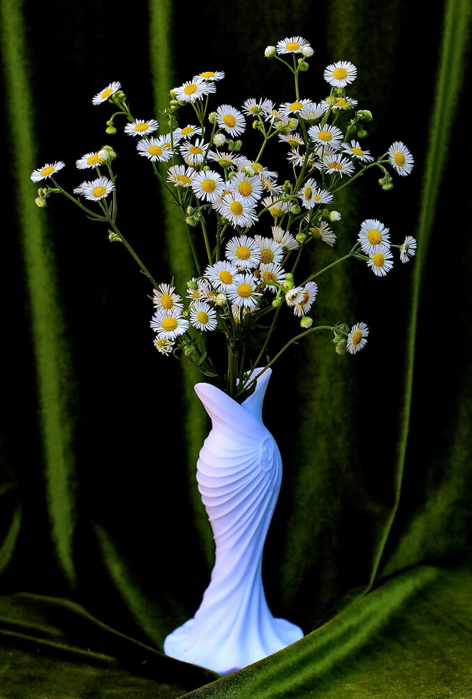 Photograph by Виталий Симоненков