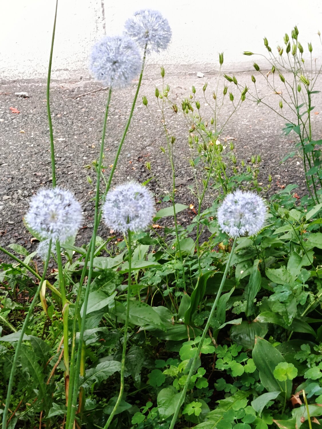 Photo #13856470