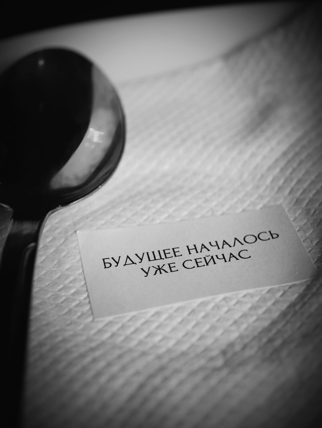 Photo #13856471