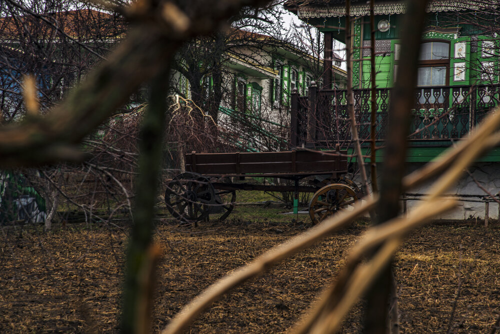 Photograph by Радомир Мойся