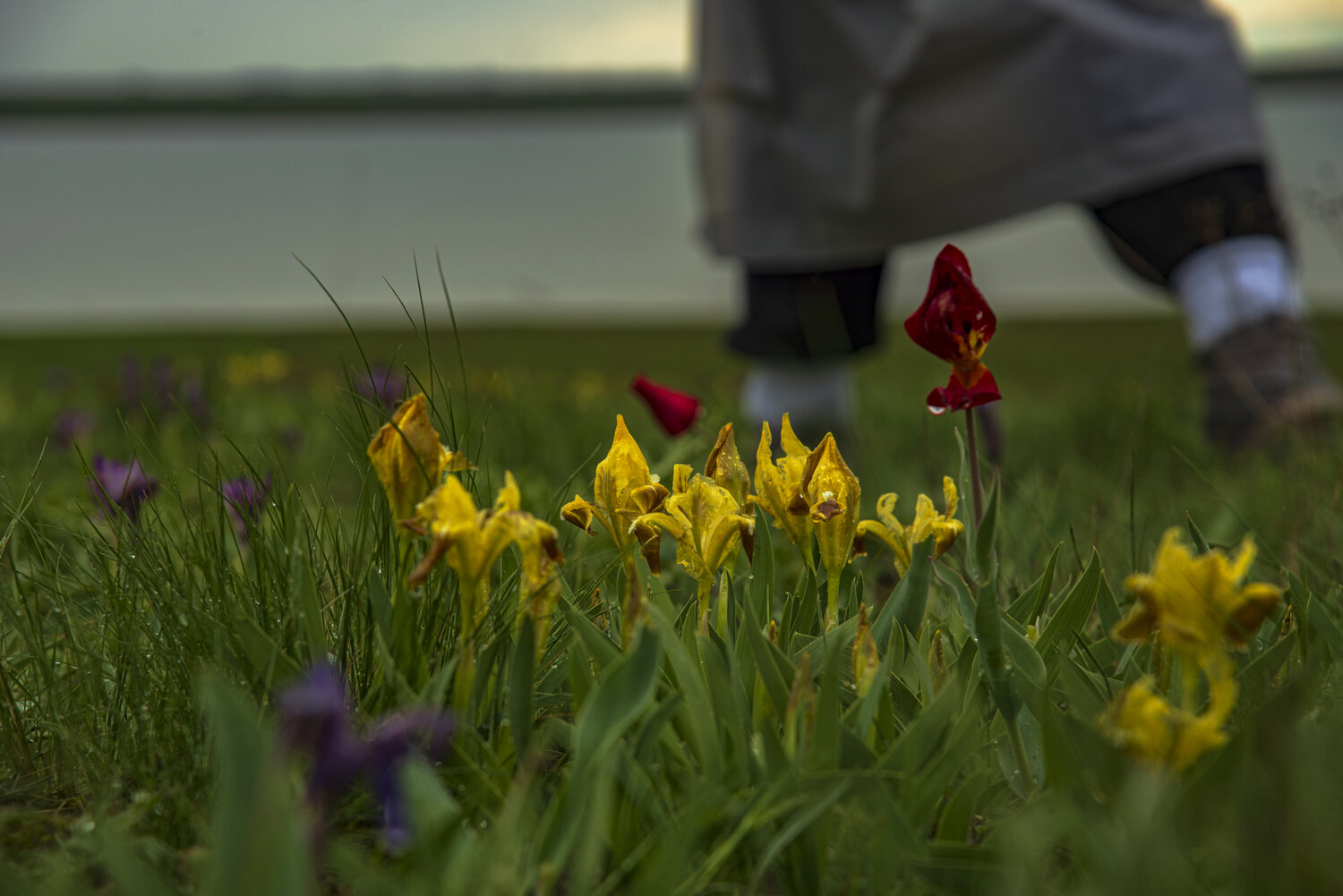Photo #13856561