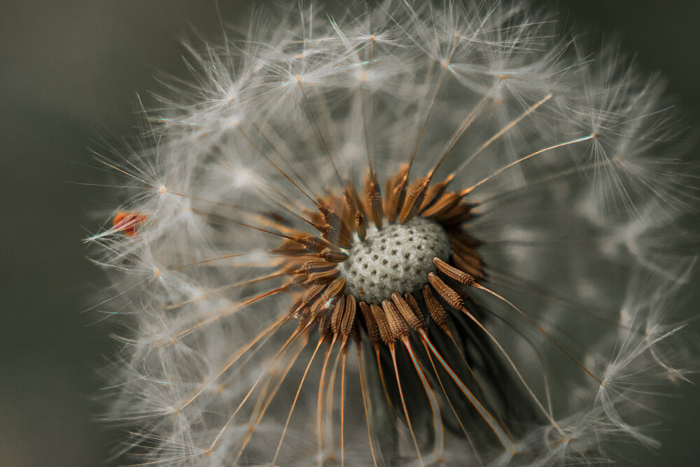 Photograph by Sergey Grin