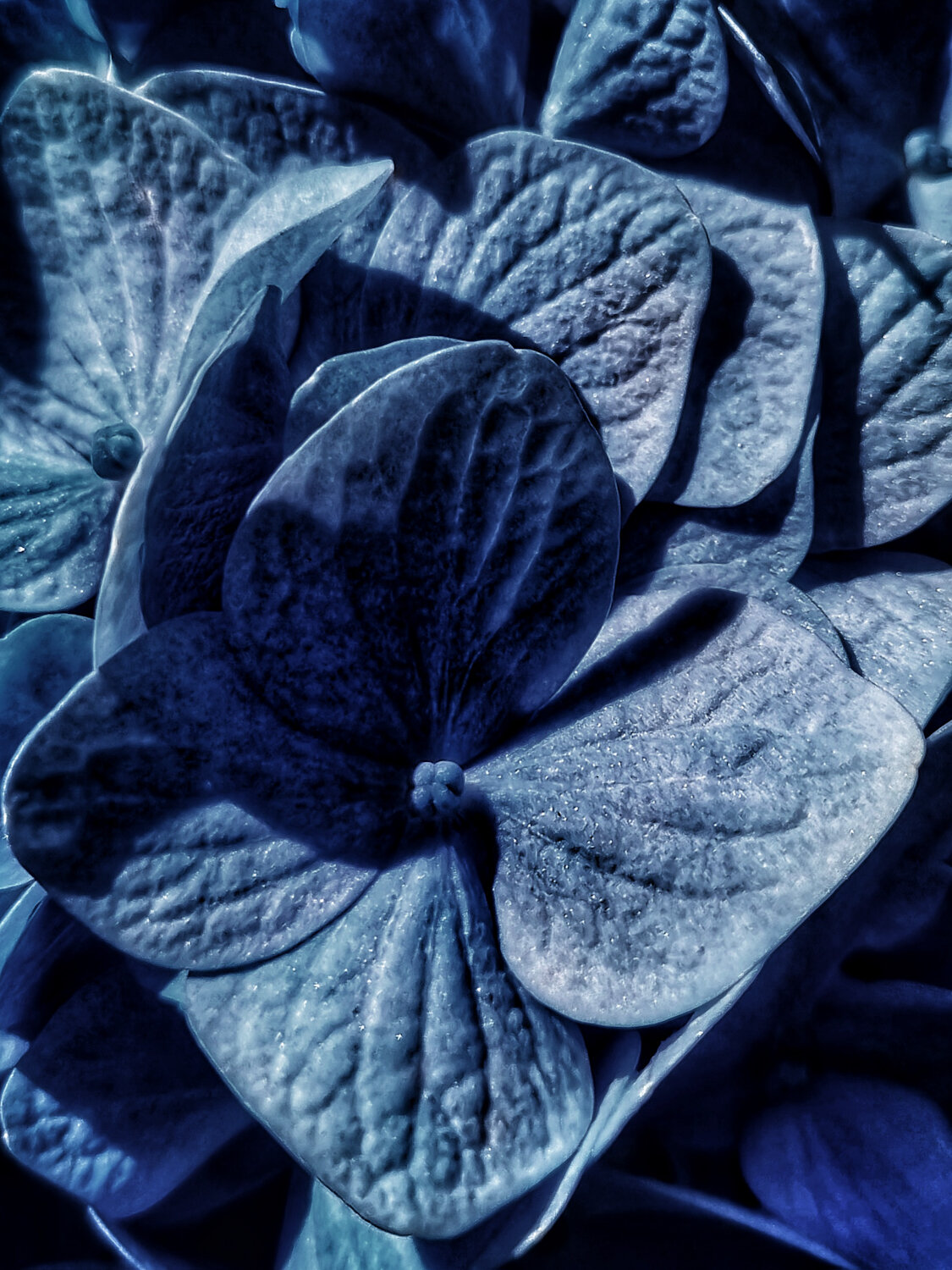 Photo #13856590