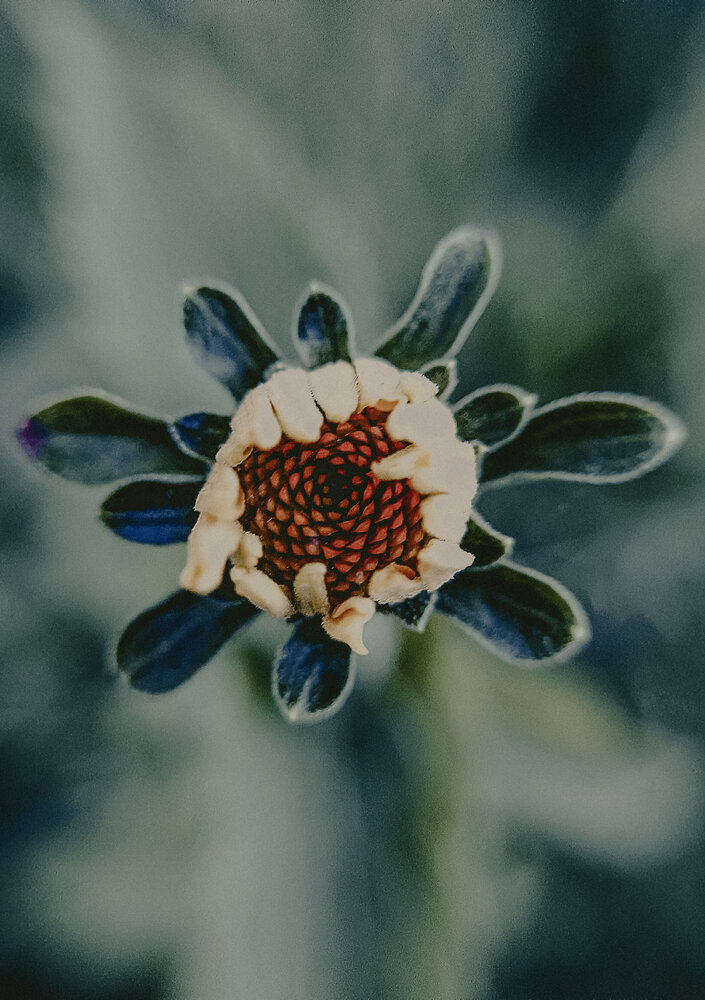 Фотография автора Юлия Лизунова
