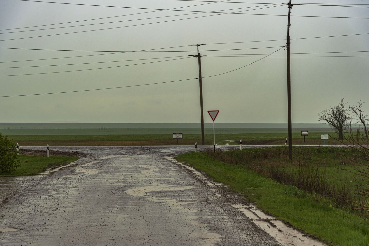 Photo #13856615