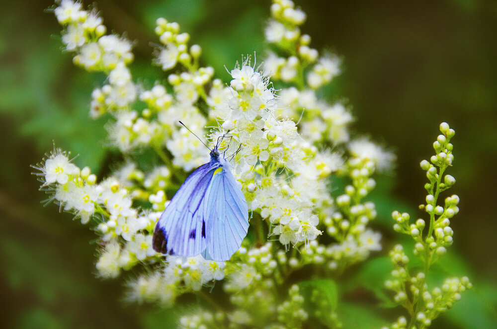 Photograph by Екатерина Невмержицкая