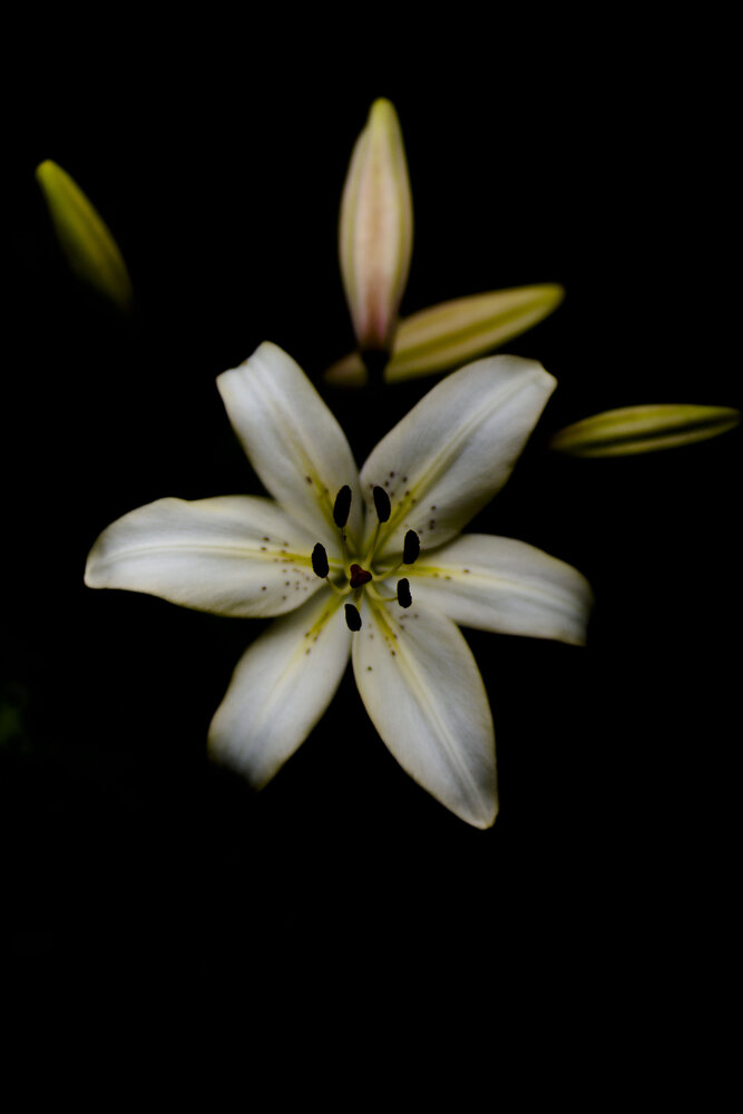 Photograph by ТАТЬЯНА ПАНОВА