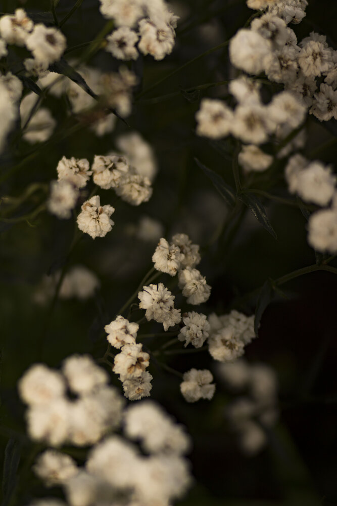 Photograph by ТАТЬЯНА ПАНОВА