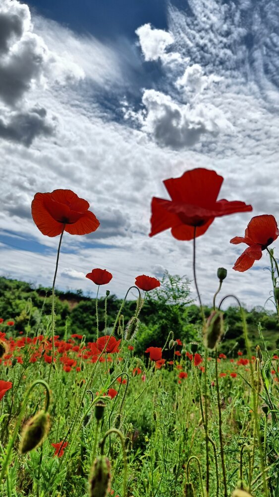 Photograph by Зверева Людмила