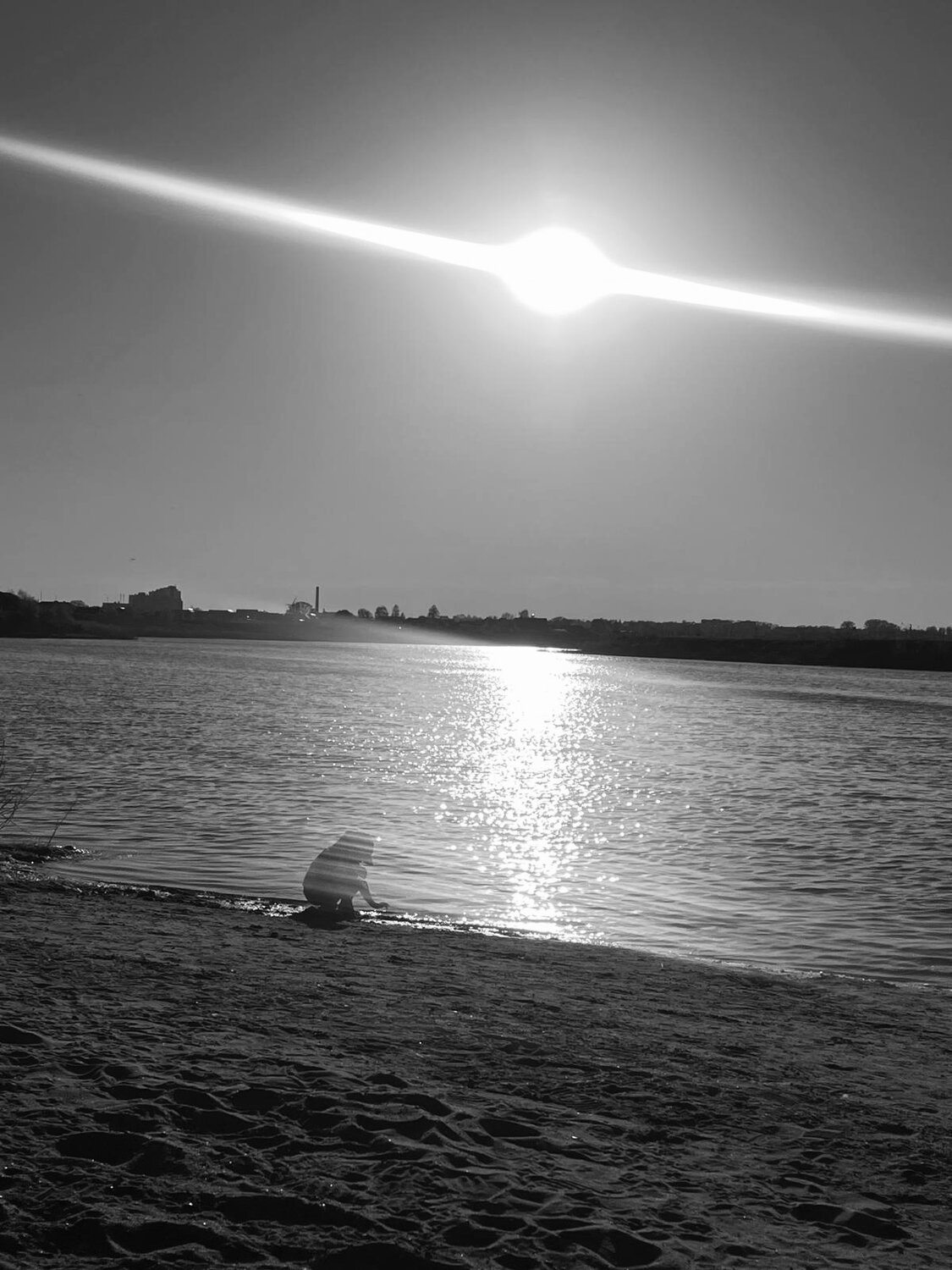 Photo #13856689