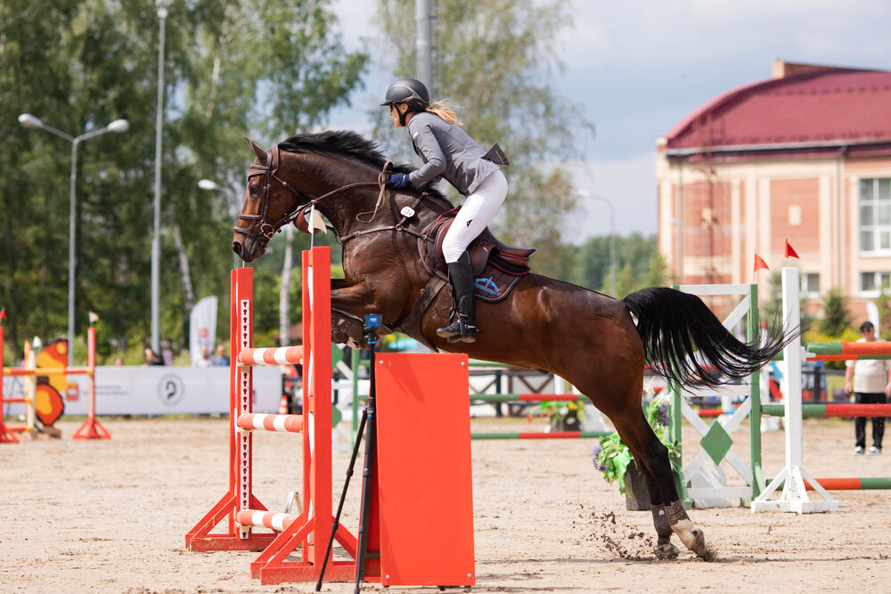 Photo #13856721