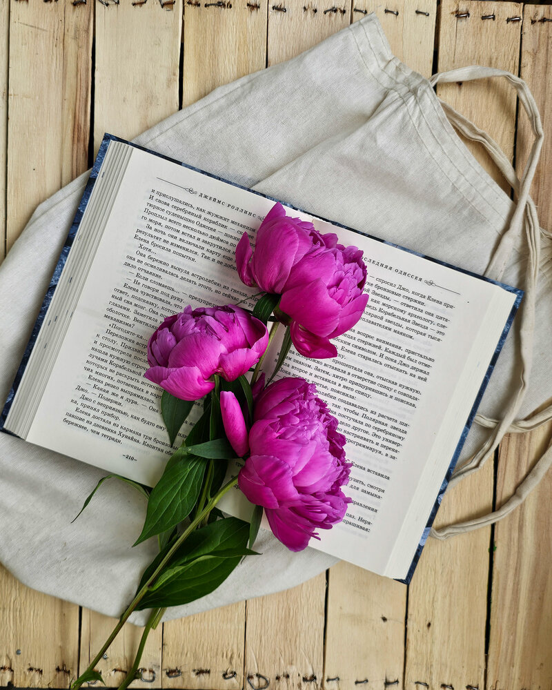 Photograph by Alexandra Pîntea