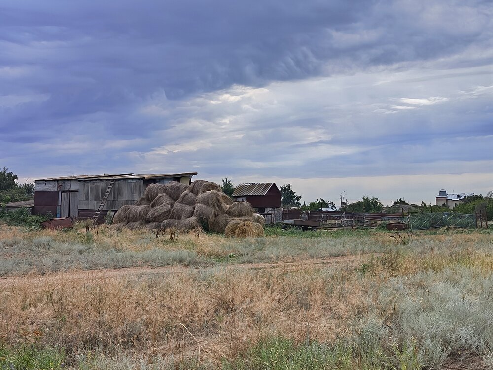 Photo #13856866