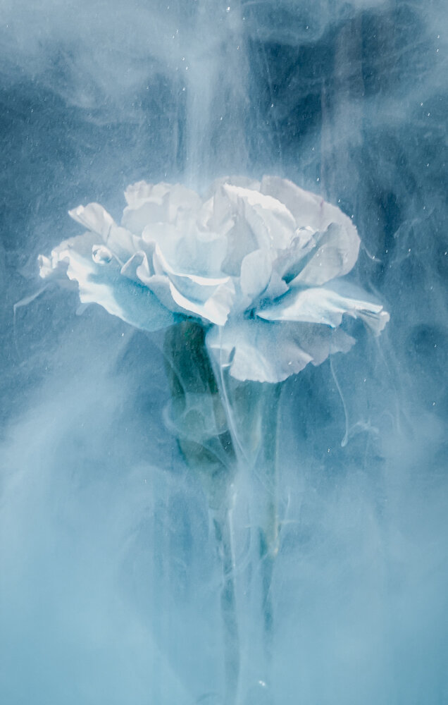 Photograph by Orsolya Eszter Nagy