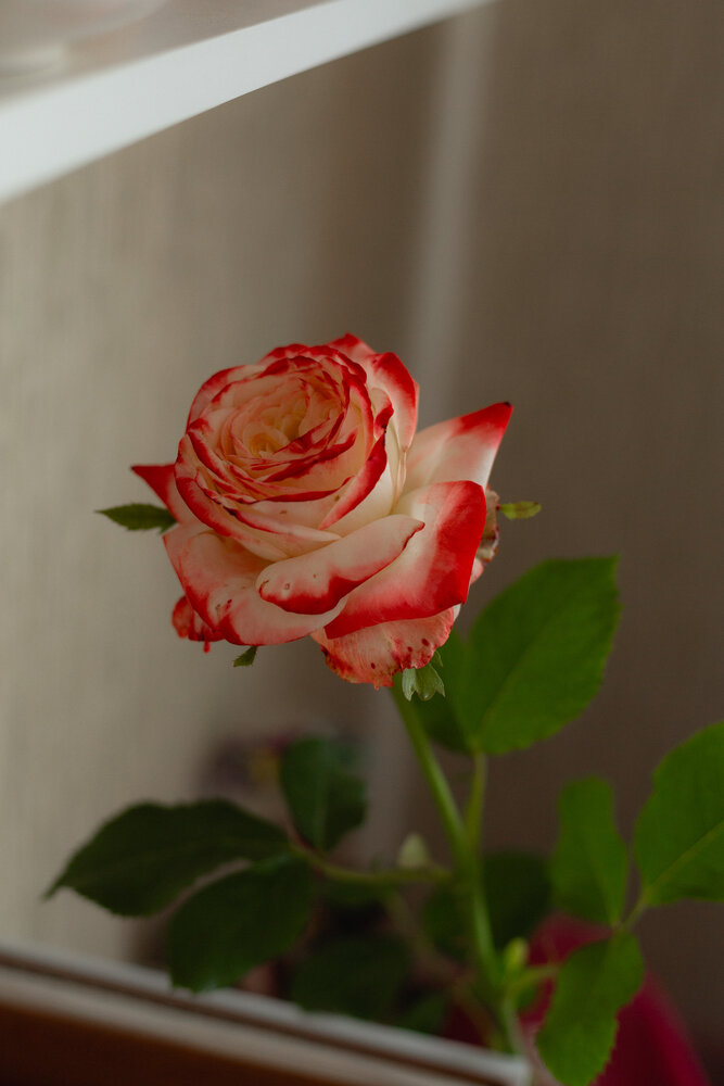 Photograph by Nataliya Mirkulenko