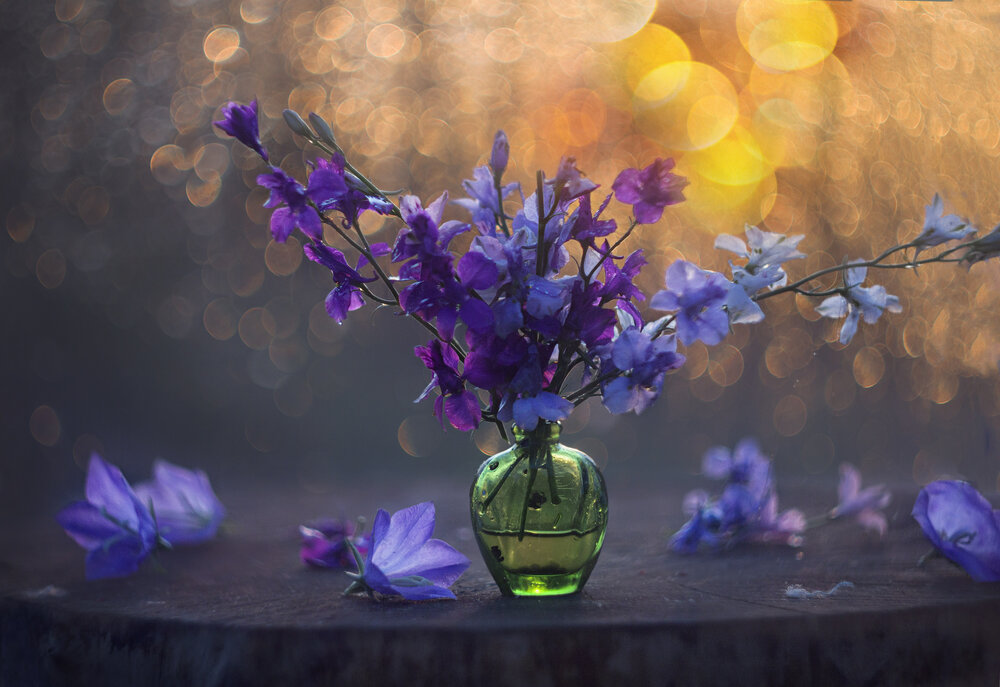 Photograph by Зимина Лионелла