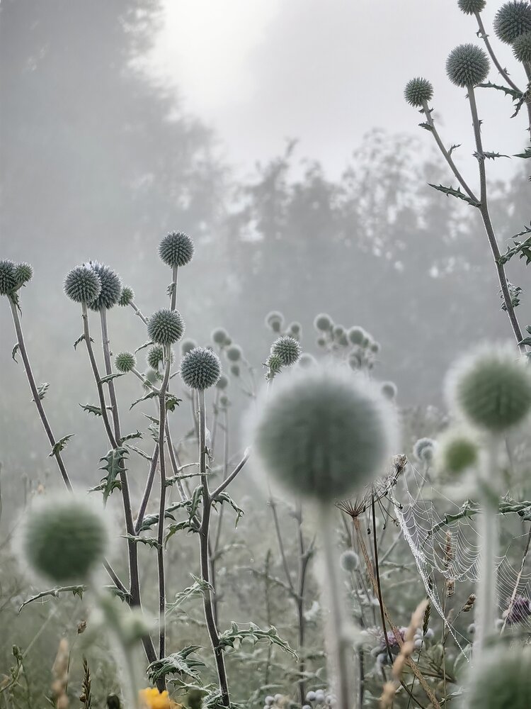 Photograph by Юлия Горелова