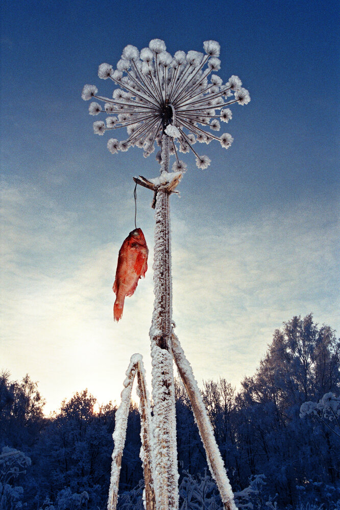 Photograph by Вячеслав Валентинович
