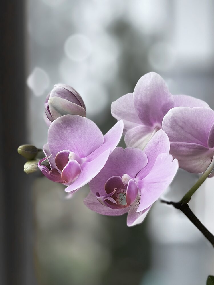 Photograph by Марина Опарина