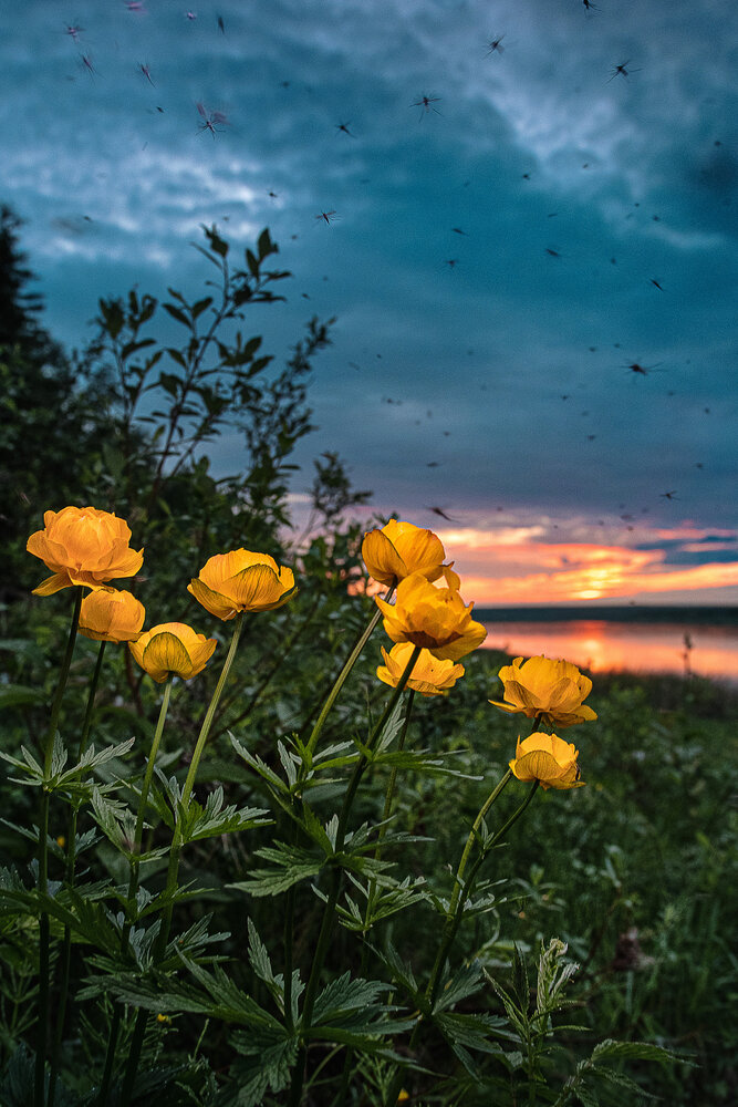 Photograph by Екатерина Лазуткина