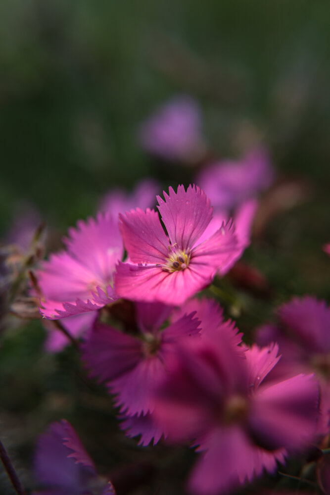 Photograph by Екатерина Лазуткина
