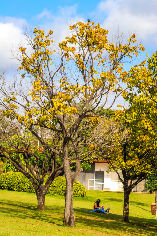Park Ipanema