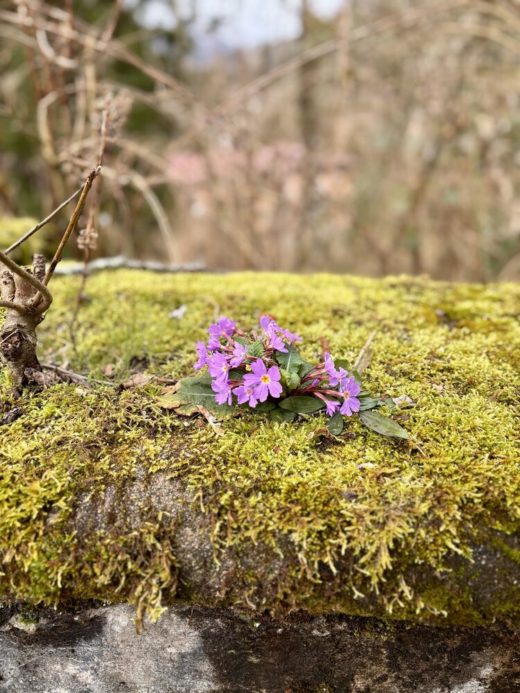 Photograph by Ольга