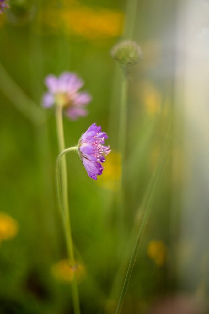 Photograph by Nataliya Mirkulenko