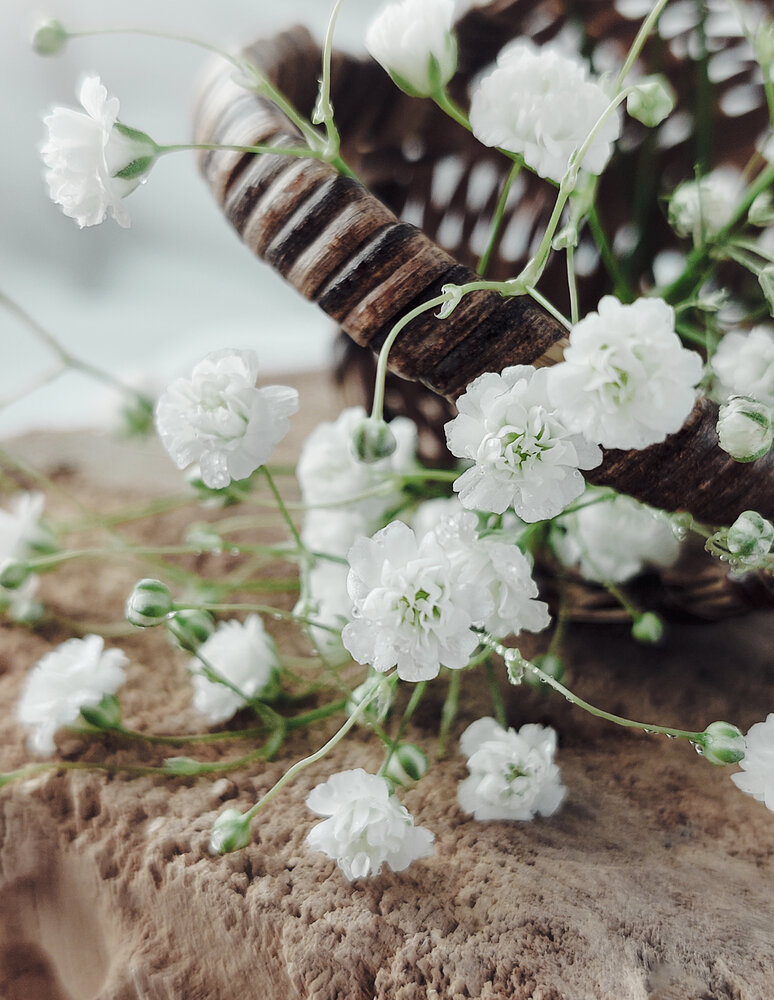 Photograph by Анна Чичилова