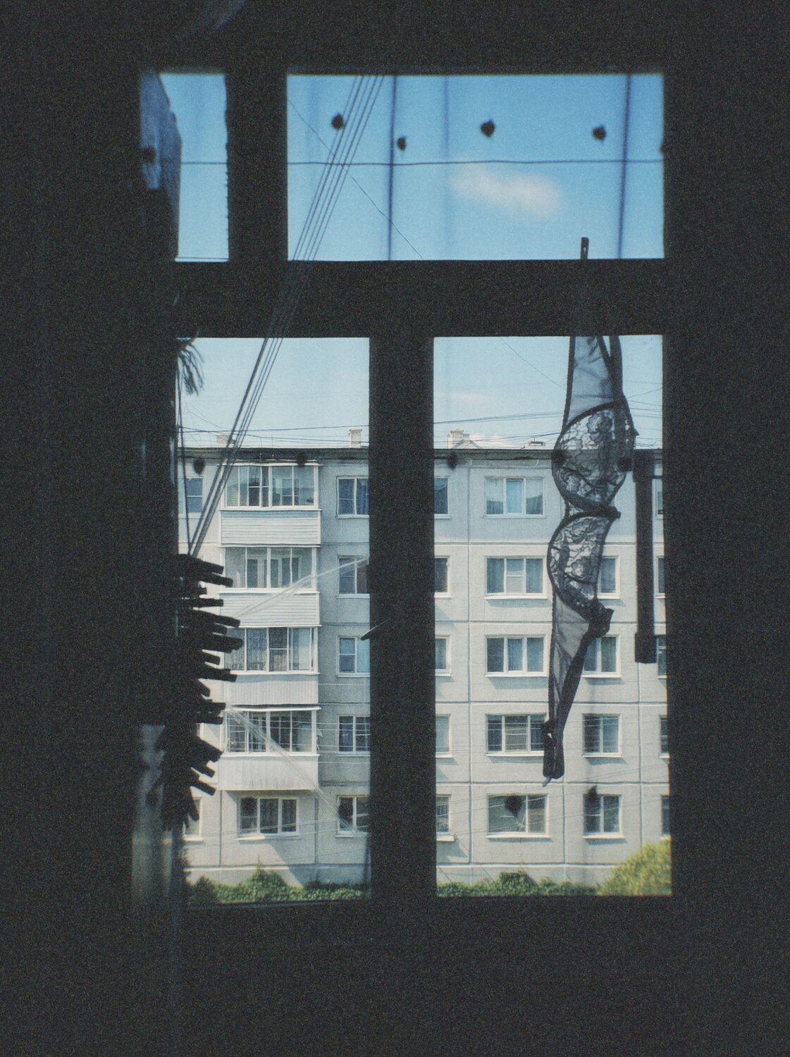 Photo #13857117