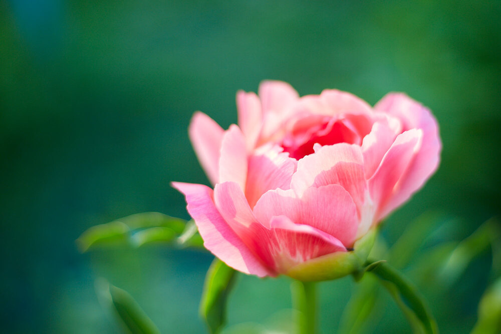 Photograph by Третьякова Наталья