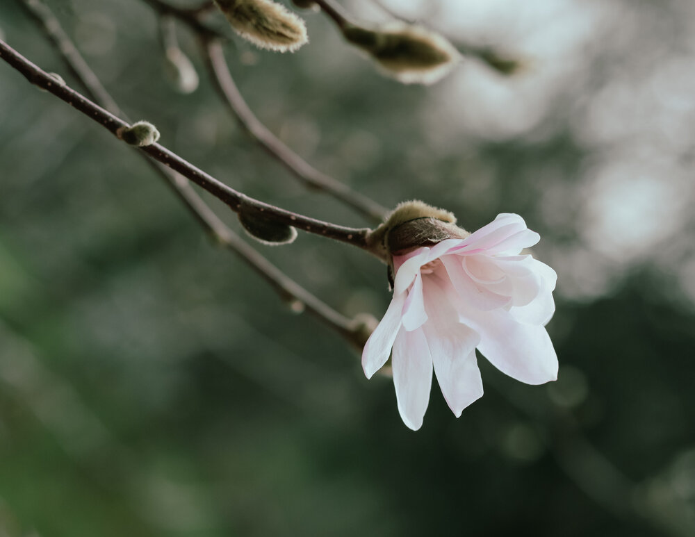 Photograph by Анна Чичилова