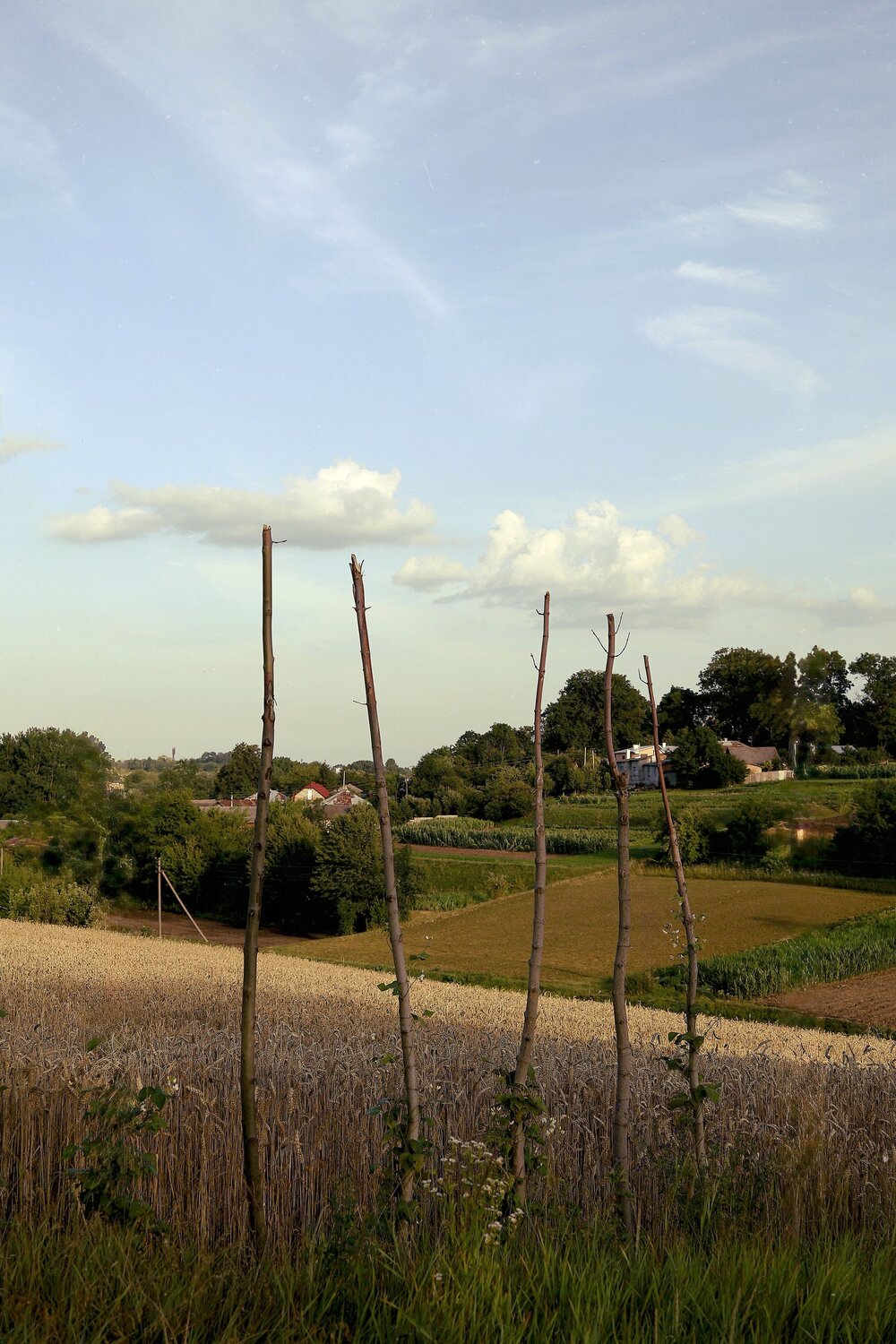 Photo #13857176