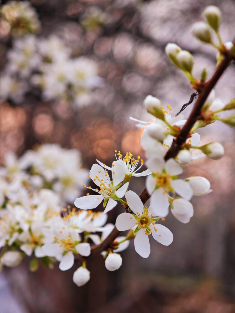 Photograph by Валентина Куцерук