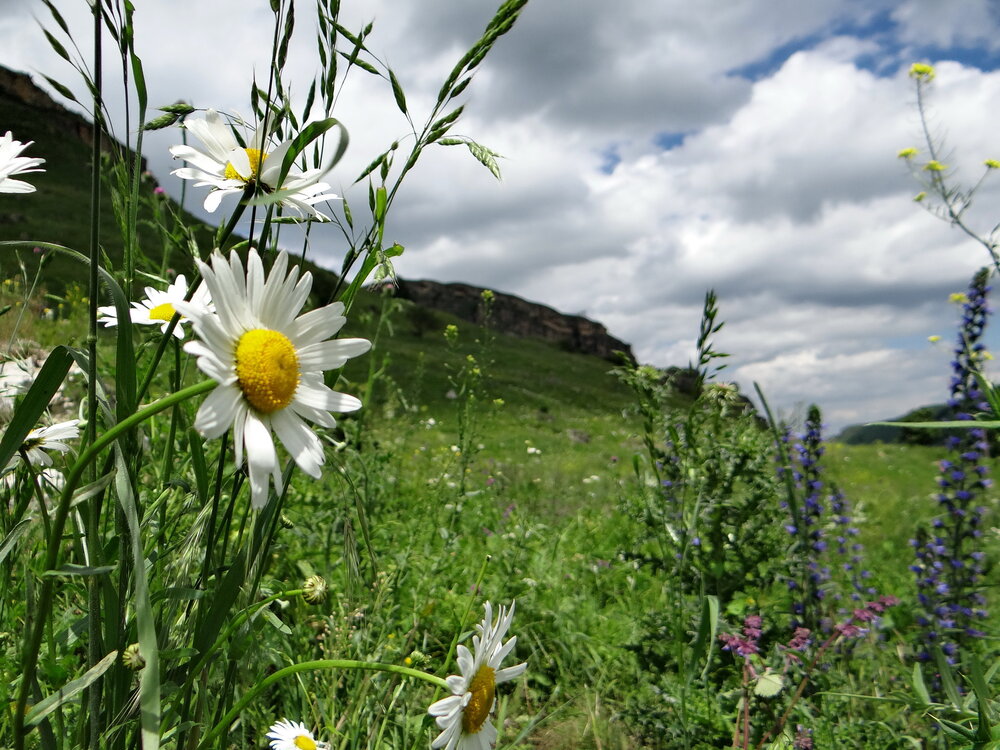 Photograph by Колесов Сергей
